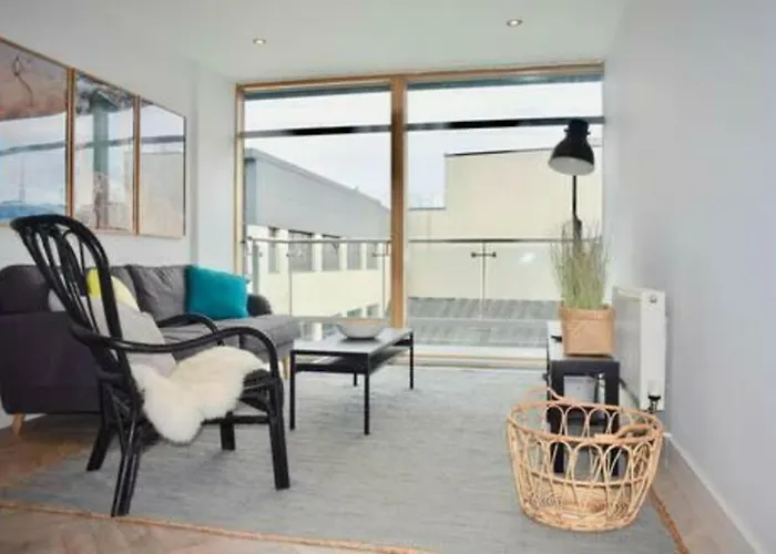 2 Bed Bright And Modern Flat In The Centre 都柏林